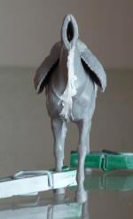 issues with the horse