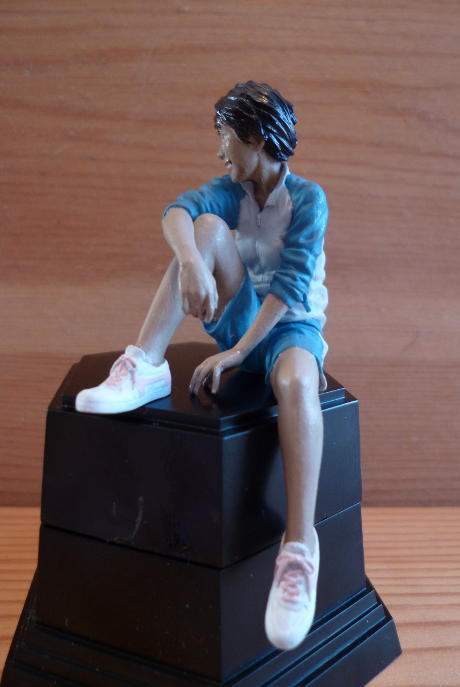 picture of the completed model
