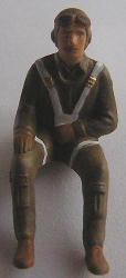 Picture of the pilot