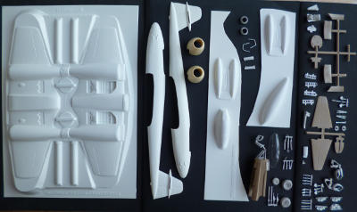 picture of the sprues