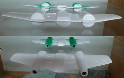 The wings