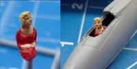 picture of pilot