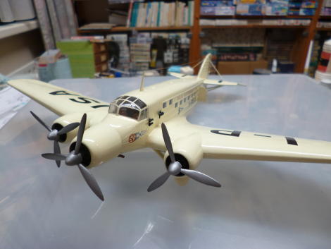 Picture of the finished model