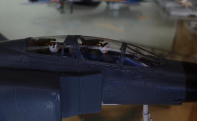 cockpit section