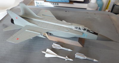 Picture of the finished model