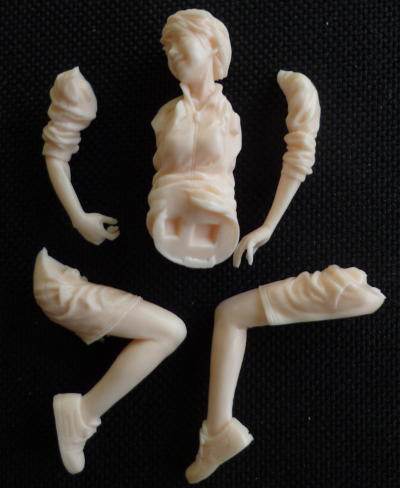 picture of the sprues