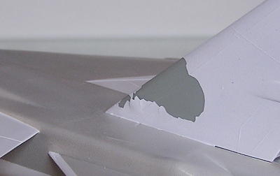 Picture of damaged paint on tail